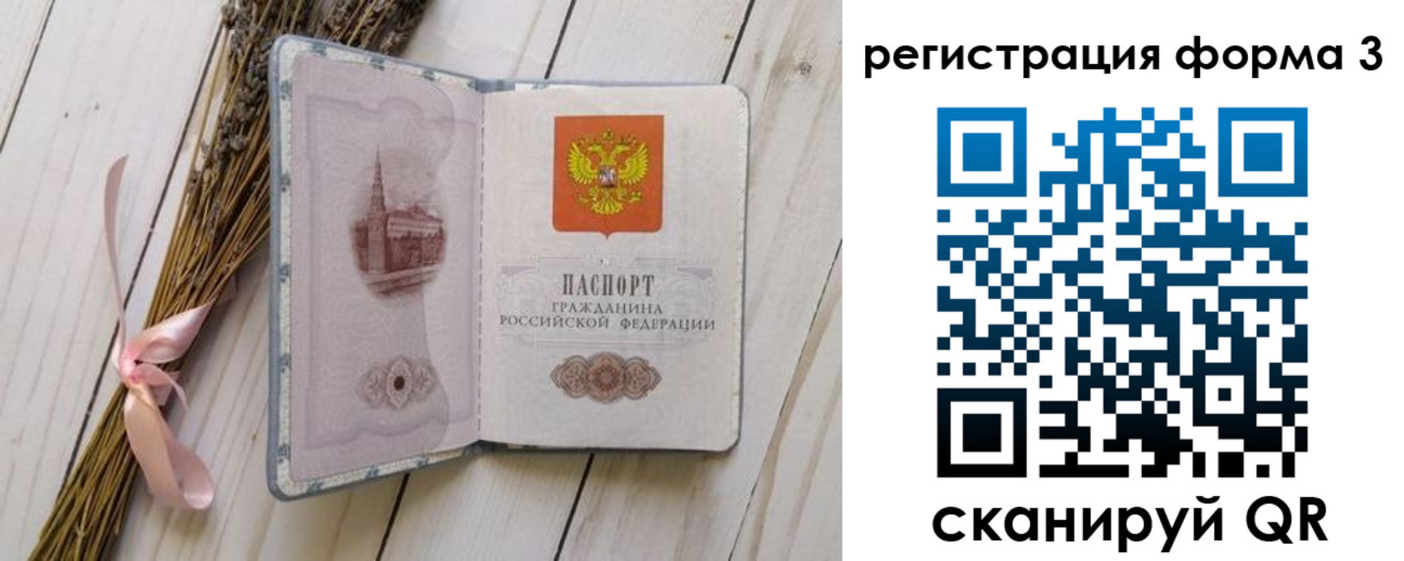 прописка поиск в Камешково